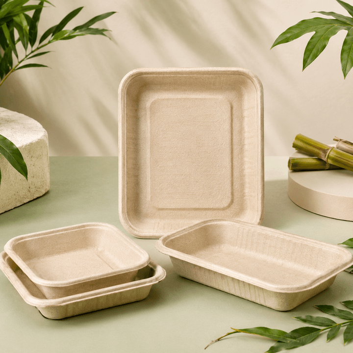 Bagasse trays